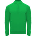 Fern Green - Front - Roly Unisex Adult Epiro Quarter Zip Long-Sleeved Sweatshirt