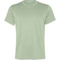 Mist Green - Front - Roly Mens Slam Short-Sleeved Sports T-Shirt