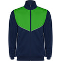 Fern Green - Front - Roly Childrens-Kids Evans Tracksuit