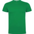 Tropical Green - Front - Roly Mens Dogo Premium T-Shirt