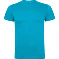 Turquoise - Front - Roly Mens Dogo Premium T-Shirt