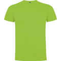 Oasis Green - Front - Roly Mens Dogo Premium T-Shirt