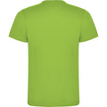 Oasis Green - Back - Roly Mens Dogo Premium T-Shirt