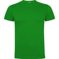 Grass Green - Front - Roly Mens Dogo Premium T-Shirt