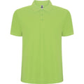 Mantis Green - Front - Roly Childrens-Kids Pegaso Premium Short-Sleeved Polo Shirt