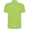 Mantis Green - Back - Roly Childrens-Kids Pegaso Premium Short-Sleeved Polo Shirt