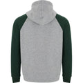 Heather Grey-Bottle Green - Back - Roly Childrens-Kids Badet Two Tone Hoodie