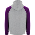 Heather Grey-Purple - Back - Roly Childrens-Kids Badet Two Tone Hoodie