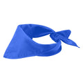 Royal Blue - Front - Heracles Bandana