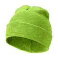 Green - Front - Bullet Irwin Beanie