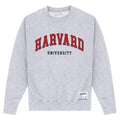 Heather Grey - Front - Harvard University Unisex Adult Script Sweatshirt