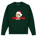 Forest Green - Front - Gremlins Unisex Adult Father Gizmo Sweatshirt