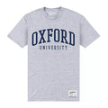 Heather Grey - Front - University Of Oxford Unisex Adult T-Shirt