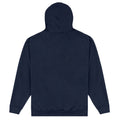 Navy Blue-Gold - Back - Terraria Unisex Adult Emblem Hoodie