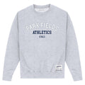 Heather Grey - Front - Park Fields Unisex Adult Athletics Sweatshirt