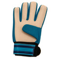 White-Navy Blue - Back - Tottenham Hotspur FC Childrens-Kids Crest Goalkeeper Gloves