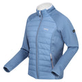 Coronet Blue-White - Back - Regatta Womens-Ladies Clumber V Hybrid Jacket