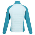 Bleached Aqua-Tahoe Blue - Back - Regatta Womens-Ladies Clumber V Hybrid Jacket