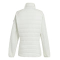 Blanc De Blanc - Back - Regatta Womens-Ladies Clumber V Hybrid Jacket