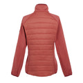 Mineral Red-Rumba Red - Back - Regatta Womens-Ladies Clumber V Hybrid Jacket