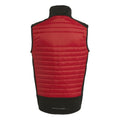 Classic Red-Black - Back - Regatta Unisex Adult E-Volve Thermal Hybrid Body Warmer