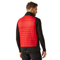 Classic Red-Black - Lifestyle - Regatta Unisex Adult E-Volve Thermal Hybrid Body Warmer