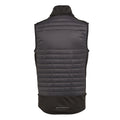 Ash-Black - Back - Regatta Unisex Adult E-Volve Thermal Hybrid Body Warmer