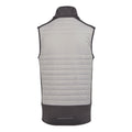 Mineral Grey-Ash - Back - Regatta Unisex Adult E-Volve Thermal Hybrid Body Warmer