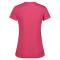 Flamingo Pink - Back - Regatta Womens-Ladies Fingal V Neck T-Shirt