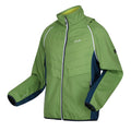 Piquant Green-Moroccan Blue-Citron Lime - Side - Regatta Mens Steren II Softshell Hybrid Jacket