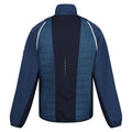 Moonlight Denim-Navy-Danger Red - Back - Regatta Mens Steren II Softshell Hybrid Jacket