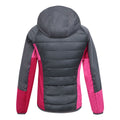 Seal Grey-Flamingo Pink - Back - Regatta Womens-Ladies Andreson Pro Hybrid Jacket