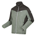 Agave Green-Ash - Side - Regatta Mens Highton IV Full Zip Fleece Jacket