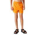 Persimmon - Lifestyle - Regatta Childrens-Kids Skander III Plain Swim Shorts