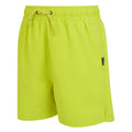 Citron Lime - Side - Regatta Childrens-Kids Skander III Plain Swim Shorts