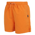 Persimmon - Side - Regatta Childrens-Kids Skander III Plain Swim Shorts