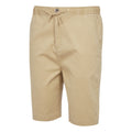 Oat - Side - Regatta Mens Aldan Chino Shorts