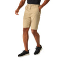 Oat - Lifestyle - Regatta Mens Aldan Chino Shorts