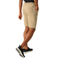 Oat - Pack Shot - Regatta Mens Aldan Chino Shorts