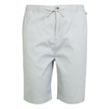 Silver Grey - Front - Regatta Mens Aldan Chino Shorts