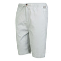 Silver Grey - Side - Regatta Mens Aldan Chino Shorts