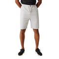 Silver Grey - Lifestyle - Regatta Mens Aldan Chino Shorts