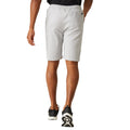 Silver Grey - Pack Shot - Regatta Mens Aldan Chino Shorts