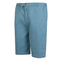 Coronet Blue - Side - Regatta Mens Aldan Chino Shorts