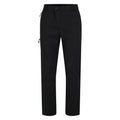 Black - Side - Dare 2B Mens Mountain Series Hiking Trousers