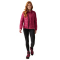 Deep Pink-Black - Side - Regatta Womens-Ladies Hillpack II Insulated Padded Jacket