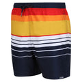 Navy-Orange - Side - Regatta Mens Loras Striped Swim Shorts