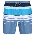 Coronet Blue - Front - Regatta Mens Loras Striped Swim Shorts