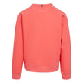 Red Sky - Back - Regatta Mens Nithsdale Crew Neck Sweatshirt