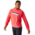 Red Sky - Lifestyle - Regatta Mens Nithsdale Crew Neck Sweatshirt